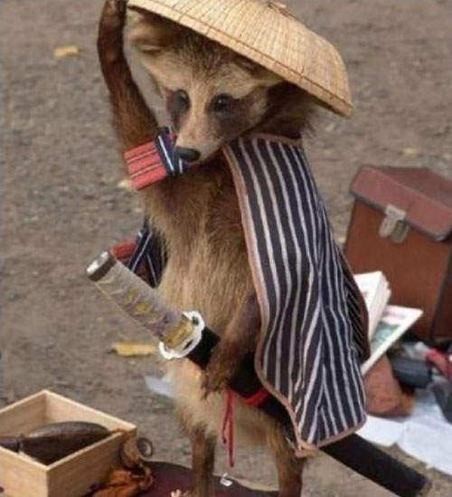 歡喜蛋蛋狸 我〝那裡〞一張開還可以當滑翔翼 歡喜蛋蛋狸 我〝那裡〞一張開還可以當滑翔翼