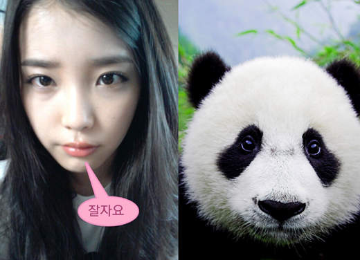 熊貓眼韓星，晚上都在做什麼呢...？
