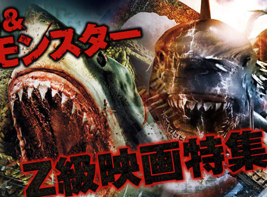 日本Nico生放送 連續13天播映的Z級片馬拉松 BEST 13 日本Nico生放送 連續13天播映的Z級片馬拉松 BEST 13