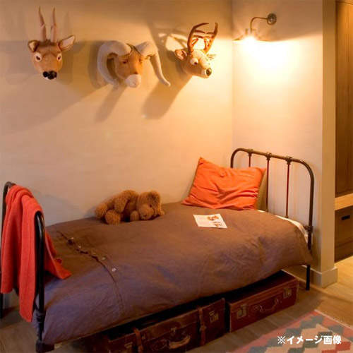 標本bye bye～《絨毛動物頭掛飾》登場♥