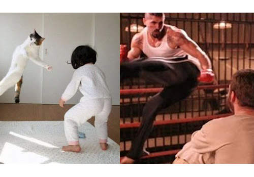 貓的電影模仿秀~猜猜貓咪模仿的是那部電影!? 貓的電影模仿秀~猜猜貓咪模仿的是那部電影!?