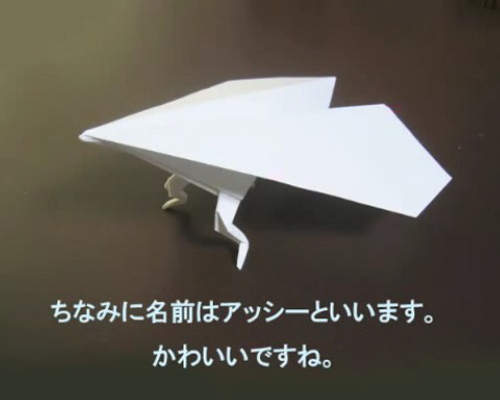 《長腳紙飛機》一不小心就會變成犬神家一族wwwwww