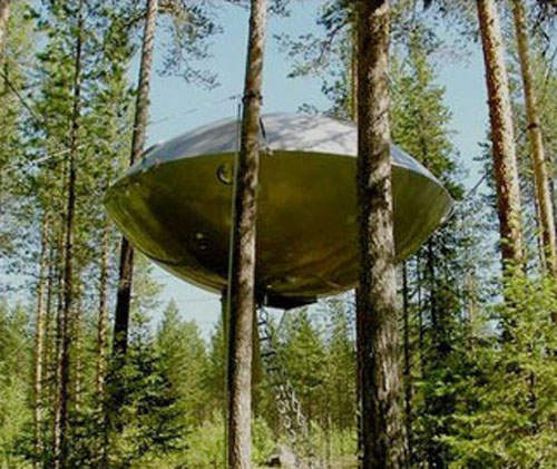 《UFO》出沒請注意~它就卡在瑞典樹林中