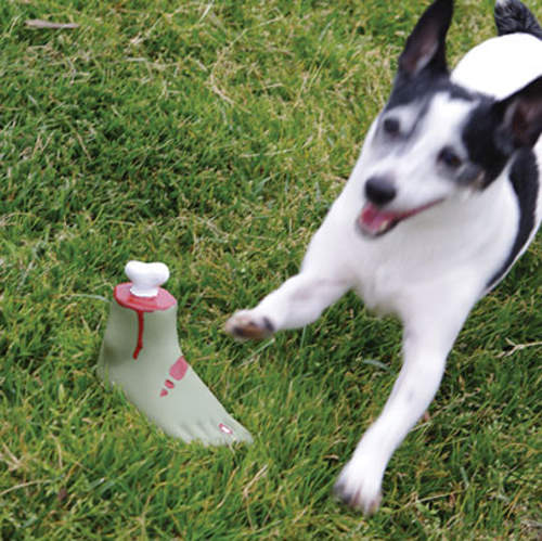 《狗用殭屍腳骨頭》超重鹹口味的啦XD