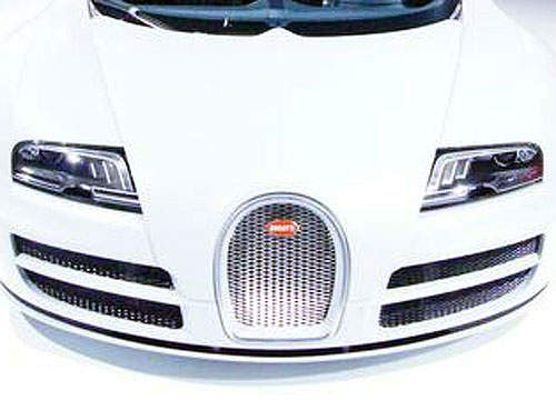 《Bugatti Veyron Rafale特別版》獨一無二山豬現身巴西～