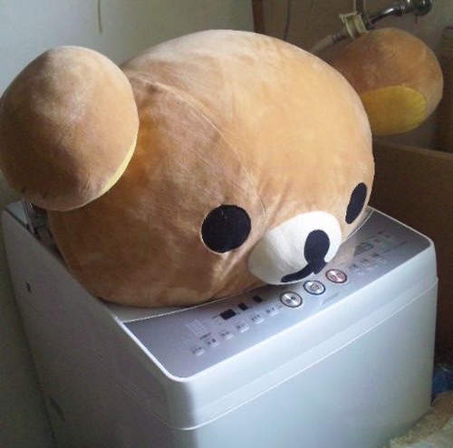 玩偶們~洗~澡~囉~!♥ 玩偶們~洗~澡~囉~!♥