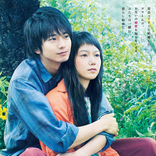 《向井理×宮崎葵》初合演《黃色大象》明年上映 《向井理×宮崎葵》初合演《黃色大象》明年上映