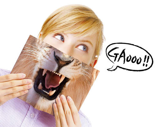 【變身動物書衣】☆只要打開書本就變身～我變我變我變變變！