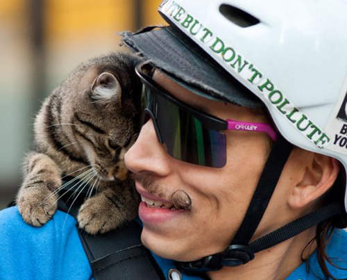 超大膽《搭肩貓MJ》跟主人一起單車快遞 超大膽《搭肩貓MJ》跟主人一起單車快遞