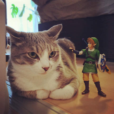 《薩爾喵傳說》林克與貓咪的冒險最新作?(誤) 《薩爾喵傳說》林克與貓咪的冒險最新作?(誤)