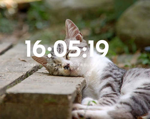 貓系列《開始認真時計》再等一下我就會認真了喵～