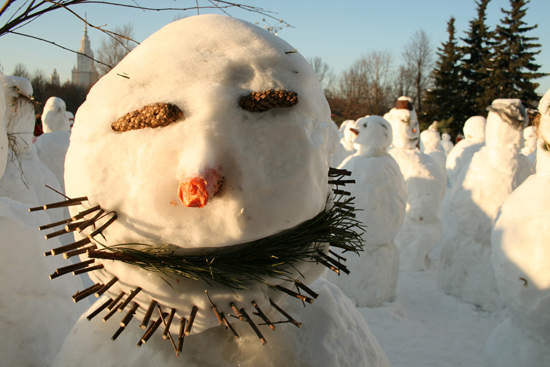 這次是真的嗎?俄羅斯抓到活的雪人! 這次是真的嗎?俄羅斯抓到活的雪人!