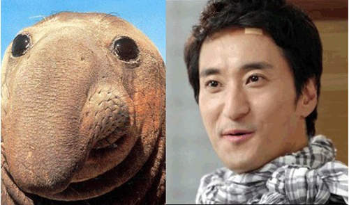 以韓英對照教學之名 行婊人之實？！