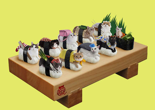 《貓壽司》是什麼?可以吃嗎?喵~~ 《貓壽司》是什麼?可以吃嗎?喵~~