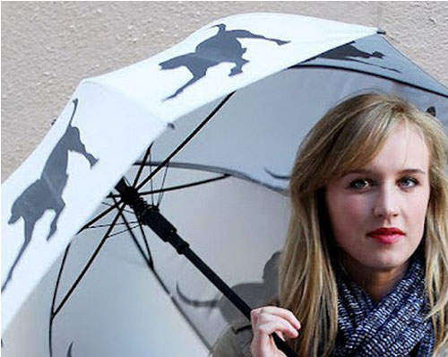 你家毛寶貝專屬的寵物雨傘~~ 你家毛寶貝專屬的寵物雨傘~~