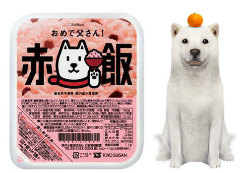 《白戶家狗爸爸紅豆飯》吃了會有好事發生吧!? 《白戶家狗爸爸紅豆飯》吃了會有好事發生吧!?