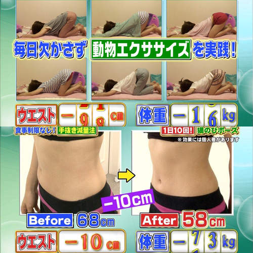 《貓咪減肥法》懶惰的女生也絕對適用喔~ 《貓咪減肥法》懶惰的女生也絕對適用喔~