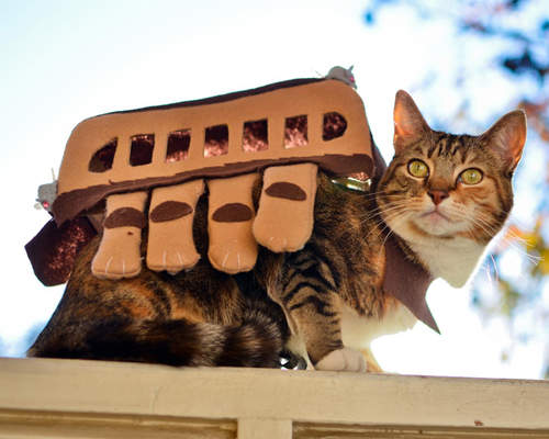 《真的龍貓公車》這隻龍貓公車可以帶回家養嗎？