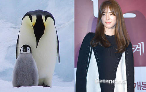 欸～這裡不是動物園吧？李妍熙的企鵝裝