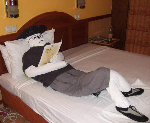 飯店客房裡的《毛巾藝術》房務人員好有才啊~ 飯店客房裡的《毛巾藝術》房務人員好有才啊~