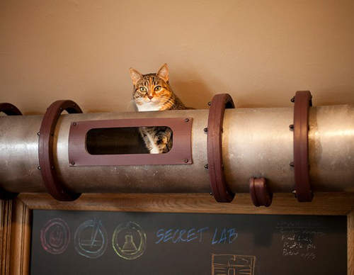 《貓通道》養貓一族必備的好傢私~~ 《貓通道》養貓一族必備的好傢私~~