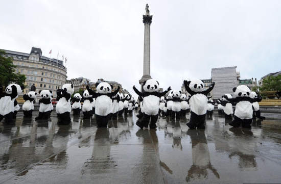 《108功夫雄貓》in倫敦!跟熊貓一起打太極吧~ 《108功夫雄貓》in倫敦!跟熊貓一起打太極吧~