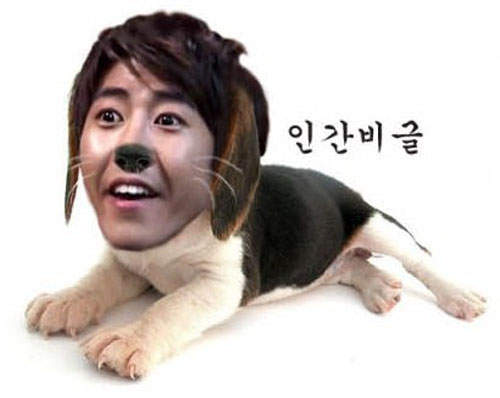 《4次元搞怪藝人》~~不懂他們的明白 《4次元搞怪藝人》~~不懂他們的明白