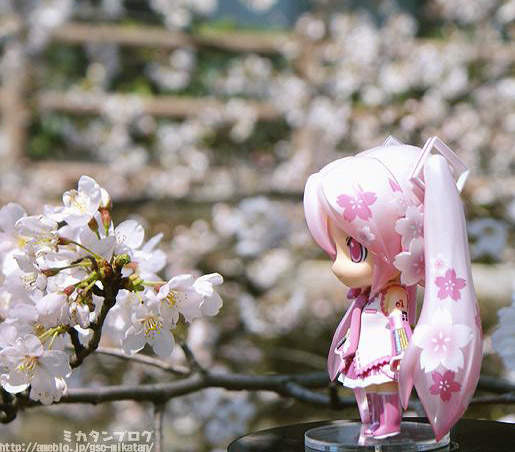 櫻花初音 全身都PINK☆閃亮登場 櫻花初音 全身都PINK☆閃亮登場