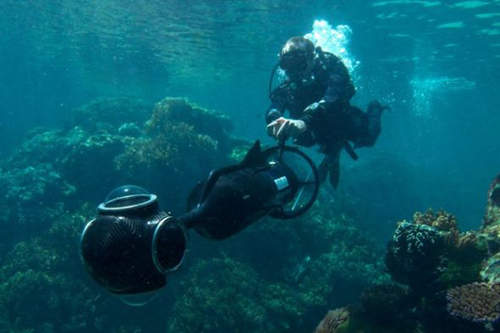 想環遊「海底」世界嗎?未來用Google海景地圖就能輕鬆做到喔! 想環遊「海底」世界嗎?未來用Google海景地圖就能輕鬆做到喔!