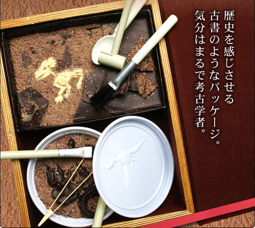 《恐龍化石巧克力》到底情人節跟恐龍有什麼關係咧？