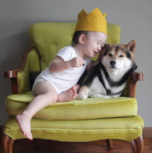 柴犬Maru與小BABY一茶的共同生活~♥ 柴犬Maru與小BABY一茶的共同生活~♥