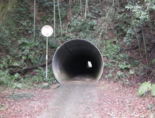 岩谷隧道 經過這條隧道一定要記得低頭!不然你會...... 岩谷隧道 經過這條隧道一定要記得低頭!不然你會......