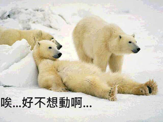 真的是「懶人包」有沒有懶惰成這樣！(老媽口吻)