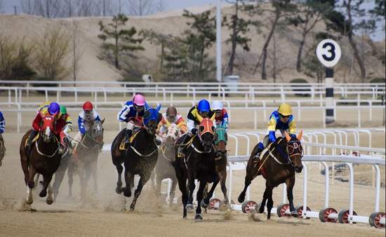 別老跳騎馬舞啦,看看別有風味的韓國景點~果川賽馬場 別老跳騎馬舞啦,看看別有風味的韓國景點~果川賽馬場