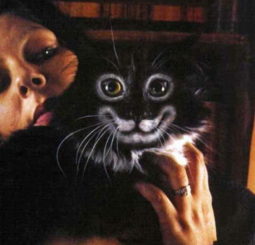 貓的！你怎麼被畫成這樣了 = = ...