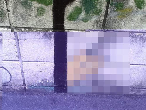 《不氣味貓壁畫》好像是真的有點那麼毛骨悚然......