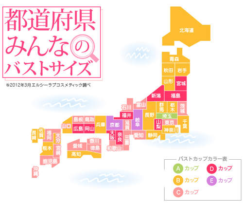 日本47都道府縣 女性罩杯大調查