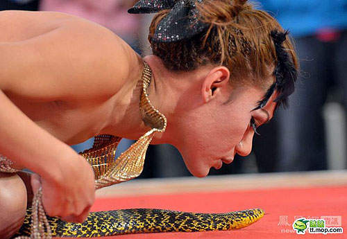 貴陽汽車文化節...美女之外的兇猛動物也來站台~(暈) 貴陽汽車文化節...美女之外的兇猛動物也來站台~(暈)