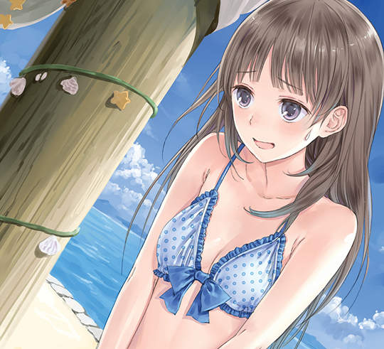 PS VITA《托托莉的鍊金工房Plus》獻給貧乳控的初回泳衣特典