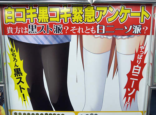 你是「黑絲襪派」還是「白色及膝襪派」呢？