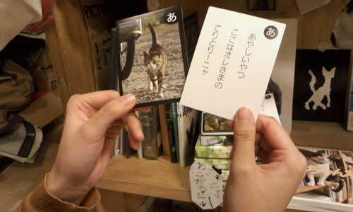 《貓咪50音紙牌》川 ̄ᴥ ̄川跟著貓咪學日文~輕鬆記好50音 《貓咪50音紙牌》川 ̄ᴥ ̄川跟著貓咪學日文~輕鬆記好50音