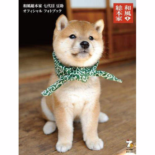 日本節目人氣柴犬《豆助》怎麼每一代都這麼可愛♥ 日本節目人氣柴犬《豆助》怎麼每一代都這麼可愛♥