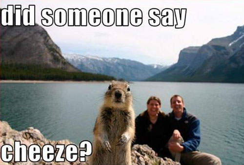 《囂張的動物們》特輯~你在叫我嗎? 《囂張的動物們》特輯~你在叫我嗎?