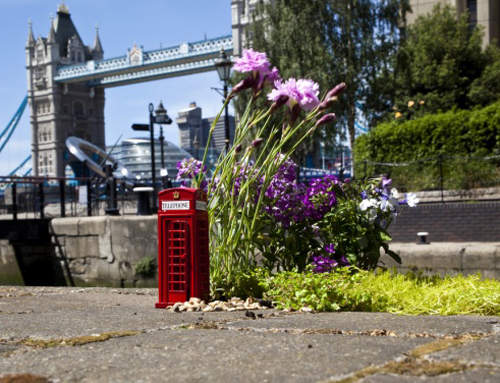 路見不平就用癒療系的迷你庭園來填滿它吧!  路見不平就用癒療系的迷你庭園來填滿它吧!