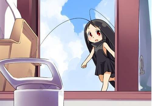 全世界最開朗的G少女《蟑螂娘》單行本登場! 全世界最開朗的G少女《蟑螂娘》單行本登場!