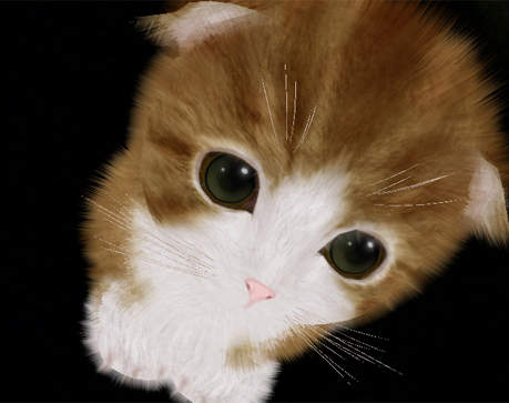 《Aabs Animals》PS VITA超治癒的寵物遊戲♥