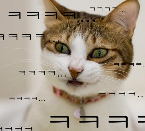 韓國特殊《ㅋㅋㅋ文化》~鍵盤上消失的Z按鍵 韓國特殊《ㅋㅋㅋ文化》~鍵盤上消失的Z按鍵