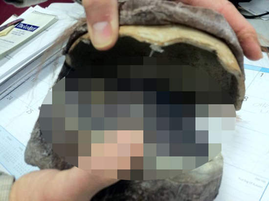 如果收到這種邀請函 我可能會報警...... 如果收到這種邀請函 我可能會報警......