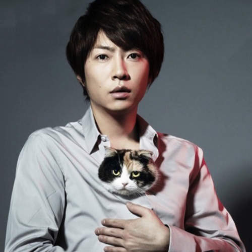 日劇首次？讓觀眾投票決定《三色貓福爾摩斯的推理》結局！