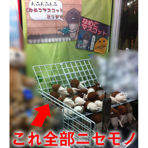 注意!山寨版《杏鮑菇週邊》出現!鼻要被騙惹~ 注意!山寨版《杏鮑菇週邊》出現!鼻要被騙惹~
